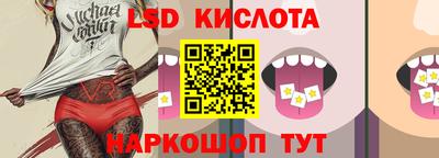 прущие грибы Будённовск