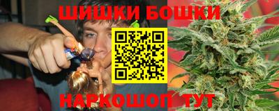 прущие грибы Будённовск