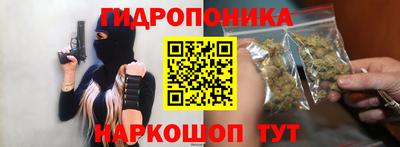 прущие грибы Будённовск