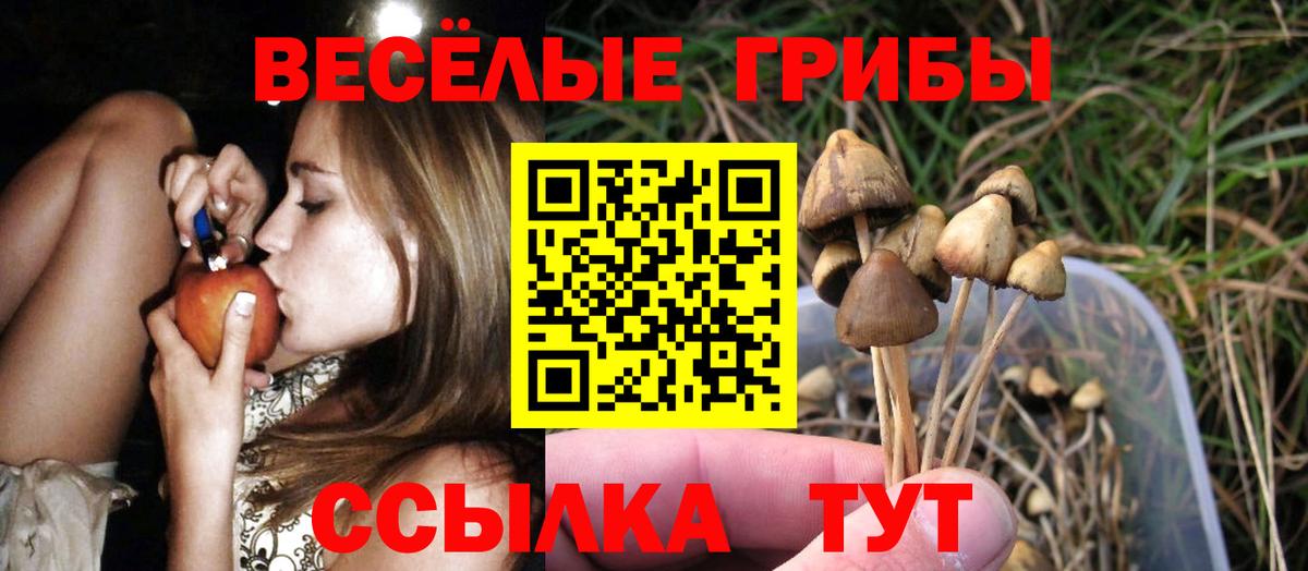 Псилоцибиновые грибы GOLDEN TEACHER Чайковский