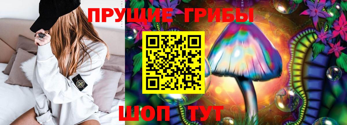 Псилоцибиновые грибы прущие грибы  Вход с VPN  Чайковский  Галлюциногенные грибы MAGIC MUSHROOMS 